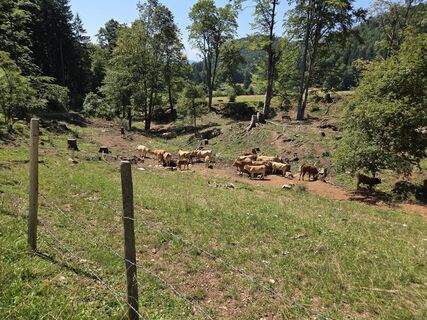 Foto von Timon Bertignoll entlang der Tour