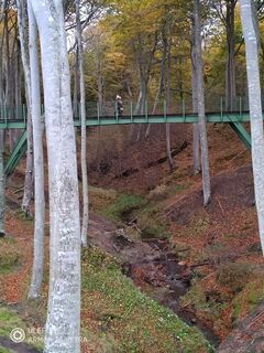 Zdjęcie z Jarosław Burzyński wzdłuż trasy