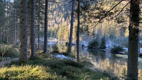 Fotó a Lomalinda honlapról a túra során