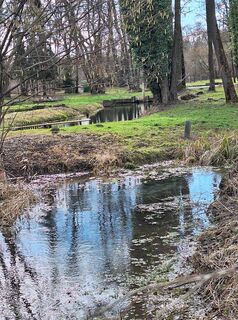 Photo de Mimi le long du parcours