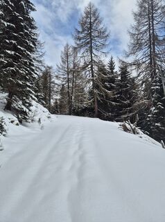 Foto von Arnulf Müller entlang der Tour