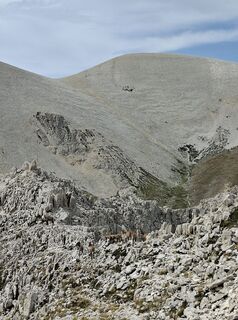 Fotografie z Giustino Gaspari na trase