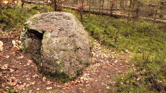 Fotografie z Noreen Harz na trase