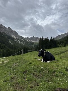 Foto von Rebeka Szabó 2 entlang der Tour
