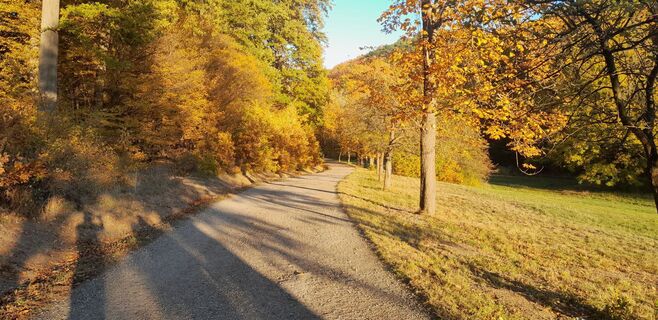 Foto de Rade Iljic a lo largo del recorrido
