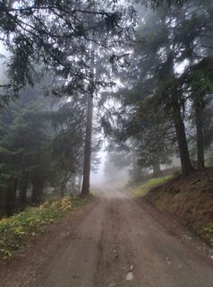 Foto von Anni Hörnler entlang der Tour