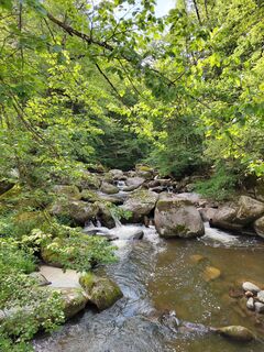 Fotografia z ReginaSt na trase