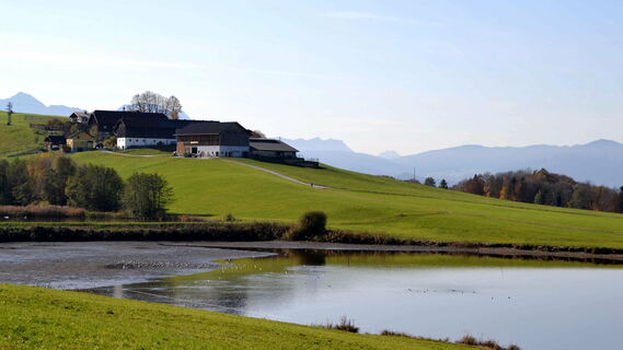 Ragginger See
