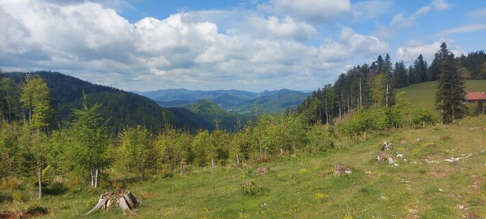 Foto von Klaus Gruber 3 entlang der Tour