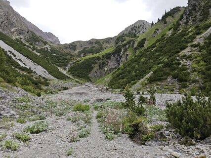Fotografija s spletne strani Xenia Lange na poti