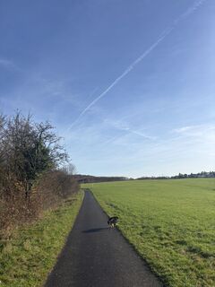 Foto de Jonas Scheermesser a lo largo del recorrido