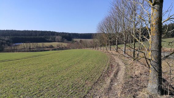 Remptendorf - Ruhteich - Friesauer Hügel