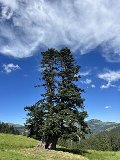 Foto von Torsten Heinrich entlang der Tour