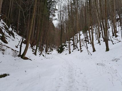 Фото с сайта bledabua во время экскурсии