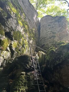 Foto de H Pbaumann a lo largo del recorrido