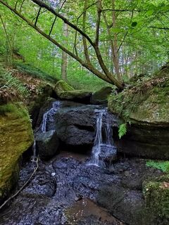 Fotografia z ReginaSt na trase