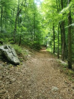 Foto von Chrisi entlang der Tour