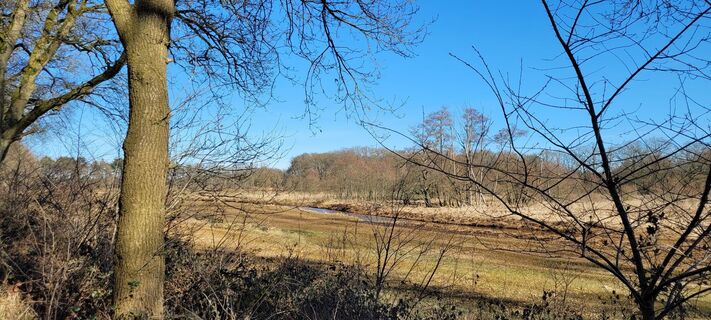 Foto da Hans Wierenga lungo il tour