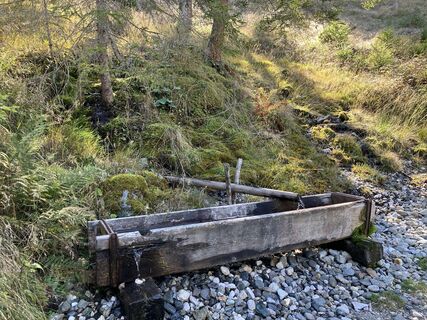 Foto van andrea calabria langs de tour