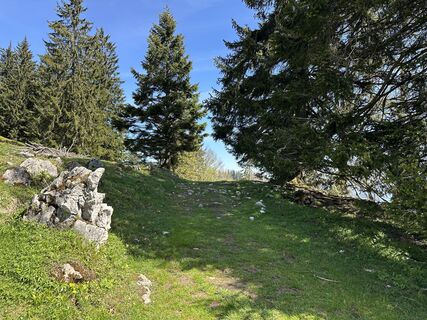 Foto von Dani Geiger / Natur_erleben_dg entlang der Tour