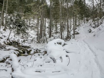 Seesteig