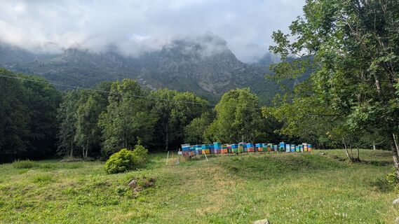 Photo de Angelika Perkmann le long du parcours