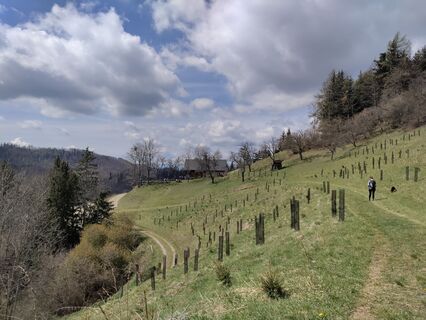 Foto von Lena Eder entlang der Tour