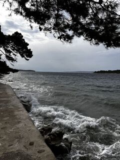 Foto von Erika Brannan 1 entlang der Tour