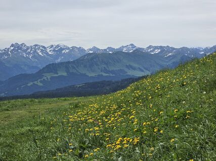 Foto von Gudrun Lippert entlang der Tour