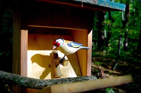 Vogellehrpfad am Weg in Unterlamm