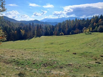 Photo de Wanderschuh le long du parcours