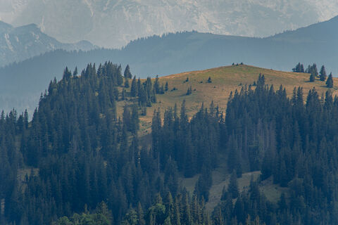 Photo de Leo Fahrngruber le long du parcours