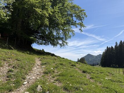 Foto von webwolf67 entlang der Tour