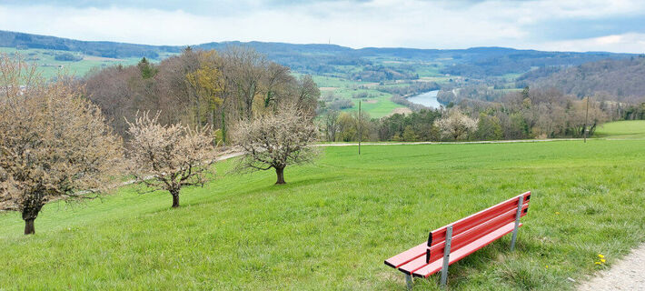 ruemikon-sitzbank-mit-sicht-auf-hochrhein