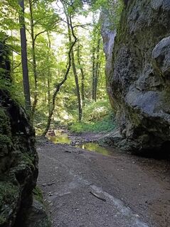 Foto de Bergpirat a lo largo del recorrido