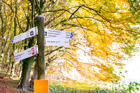 HalleWestfalen - Wegweiser Wandern