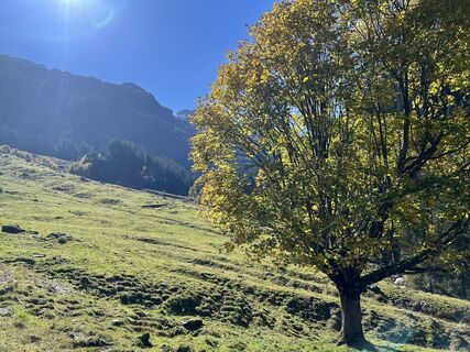 Foto von Gerbrand K. entlang der Tour