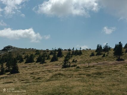 Foto von Bergpirat entlang der Tour