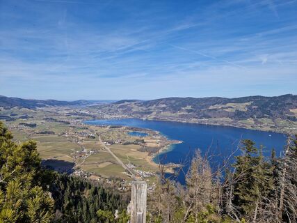 Fotografia z Daniel Fasching na trase