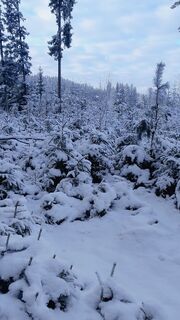 Fotografia z Pur Alexander na trase