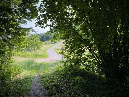 Fotó a Pfalzi honlapról a túra során