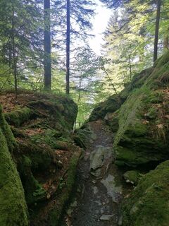 Fotografie z Dagmar Hofer na trase