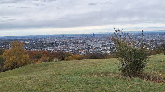 Foto von Regina Fleischmann entlang der Tour
