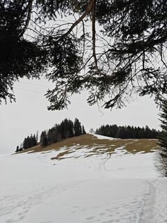 Foto von Xenia Lange entlang der Tour