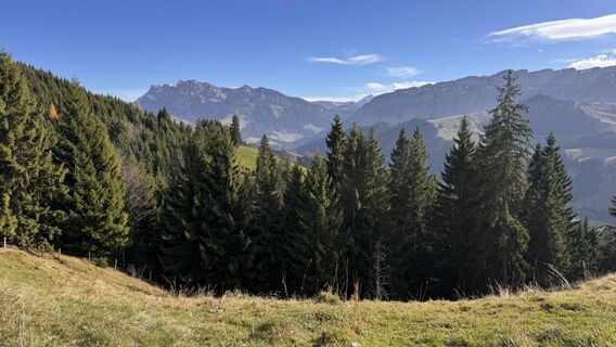Fotografija s spletne strani peter_oe na poti