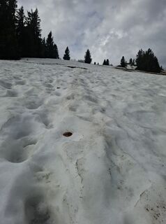 Foto von Günther Forsthuber entlang der Tour