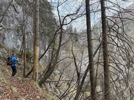 Fotografia z Michelle Weissenbacher na trase