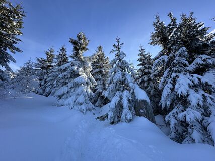 Fotó a Dani Geiger / Natur_erleben_dg honlapról a túra során