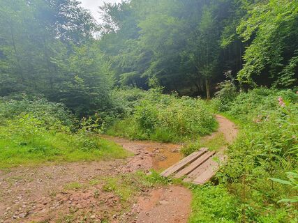 Fotografie z Christian Stieber na trase