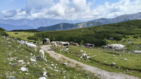 Foto von Eszter Molnár 1 entlang der Tour